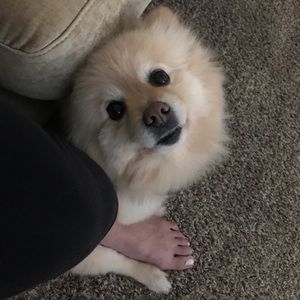 Meet your Posher, SoaRRfashion